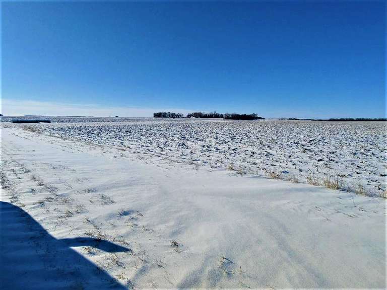 Prime Brookings County Land for Rent Advantage Land Co./G3 Auction