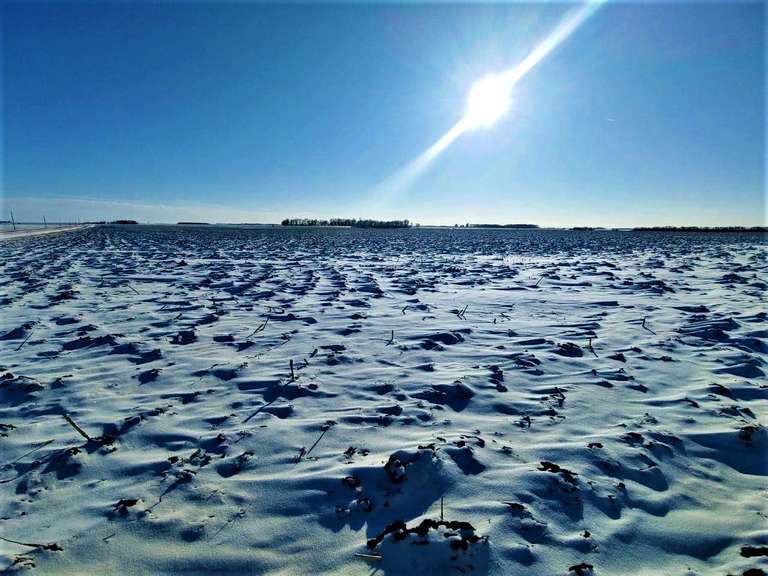 Prime Brookings County Land for Rent Advantage Land Co./G3 Auction