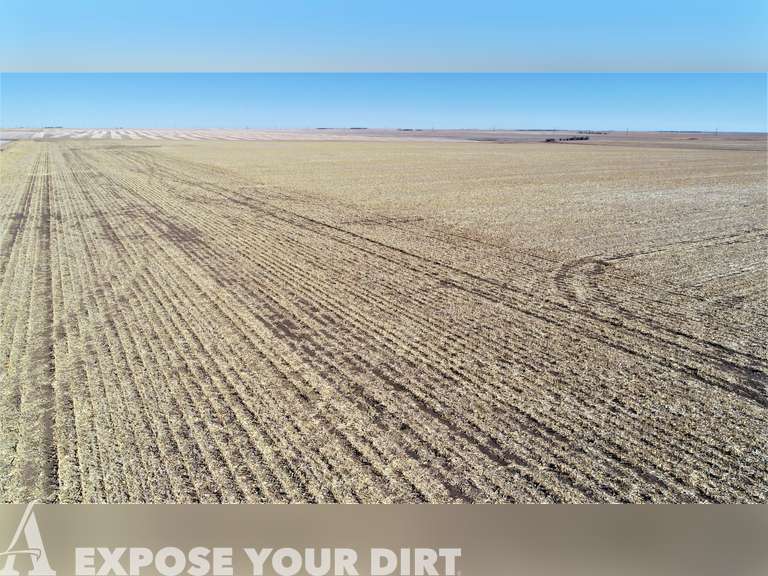 Potter County SD Land Auction Advantage Land Co./G3 Auction South