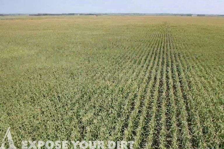FOR RENT Clark & Spink County, SD Cropland & Pasture 1,040+/ Acres