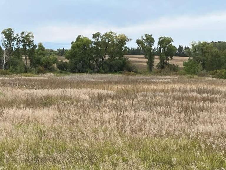 613.18 + Acre Hubbard & Wadena County, MN Land Auction Kinsey