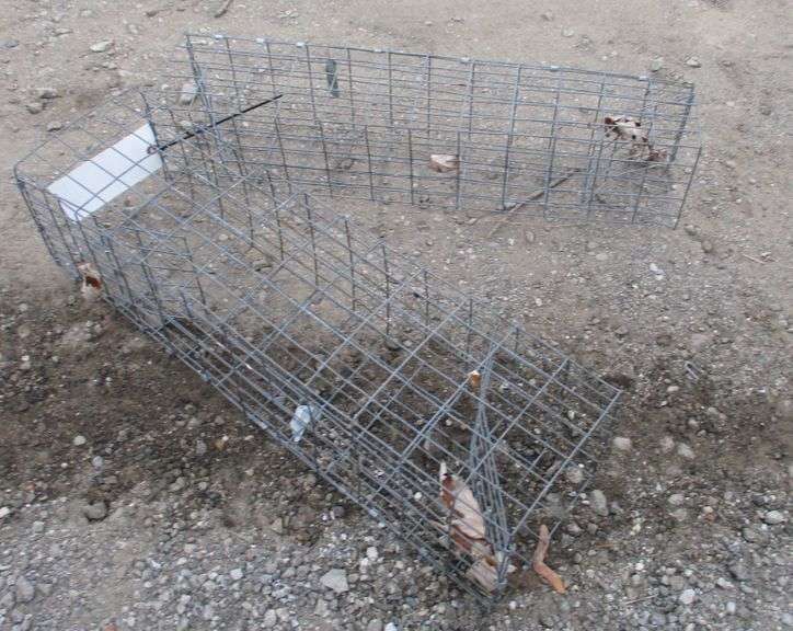 (2) Muskrat traps Albrecht Auction Service