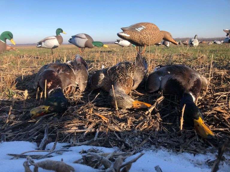 Jackson County IL 186 acres