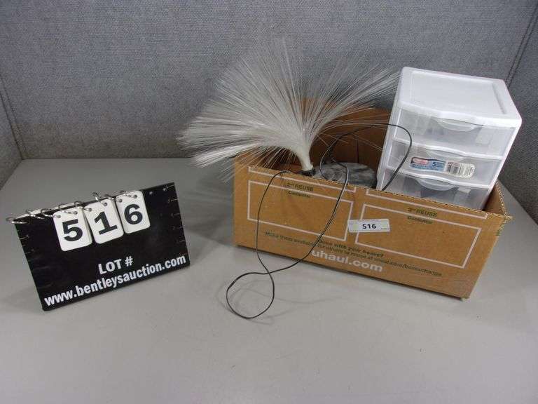 BOX FIBER OPTIC LIGHT AND "STERILITE PLASTIC DRAWERS Bentley