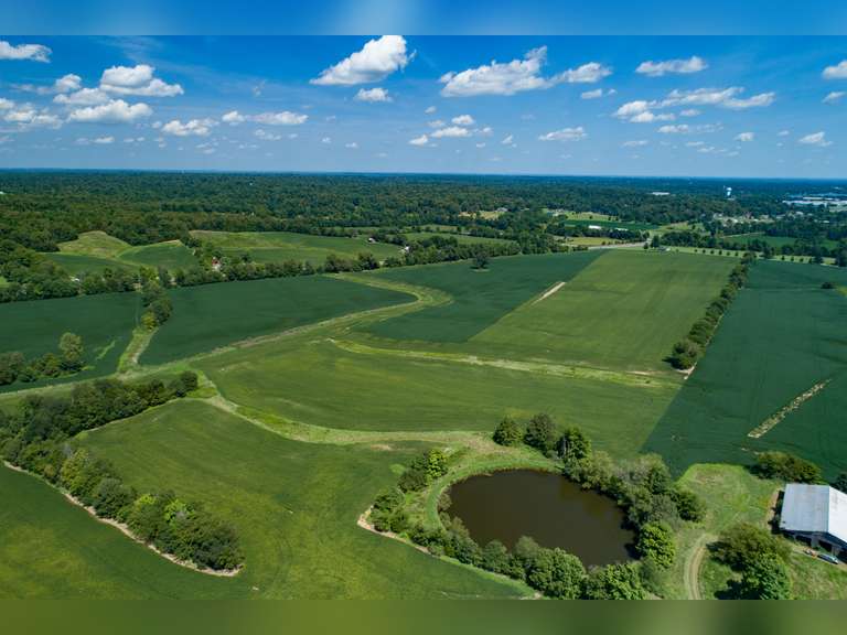 360 +/ ACRES ALONG COLUMBIA SCHOOLHOUSE RD MANITOU, KY Bolinger Real