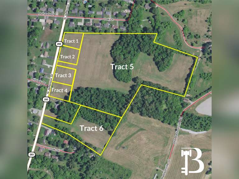 LAND AUCTION 32+/ ACRES ON N JEFFERSON ST PRINCETON, KY Bolinger