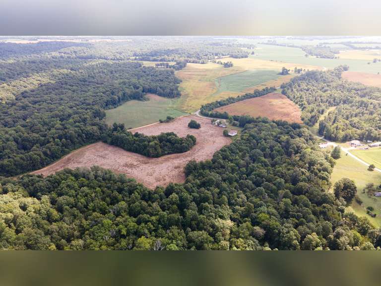 LAND AUCTION 130 +/ ACRES IN RUSSELLVILLE, KY Bolinger Real Estate