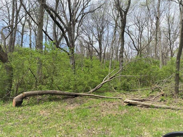 Peterson Auction Brad n Commercial Real Estate