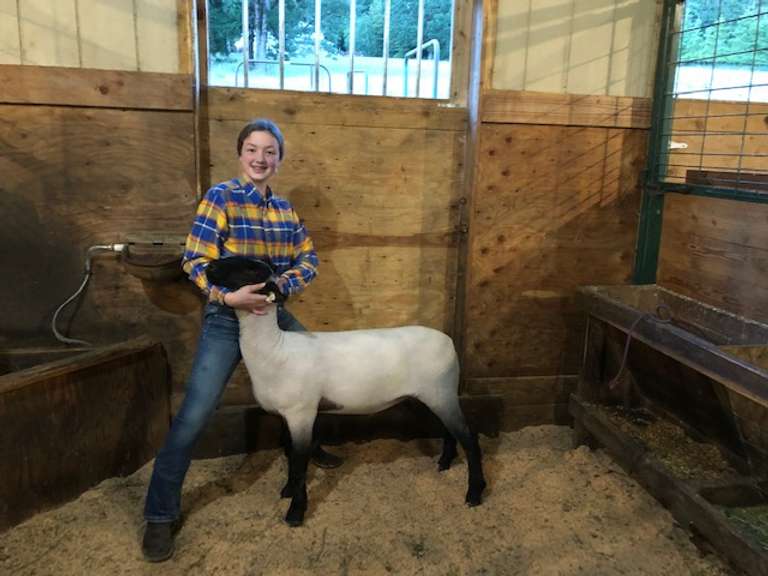 Gracelynn Caldwell Elite Livestock 4H Club Breeders World