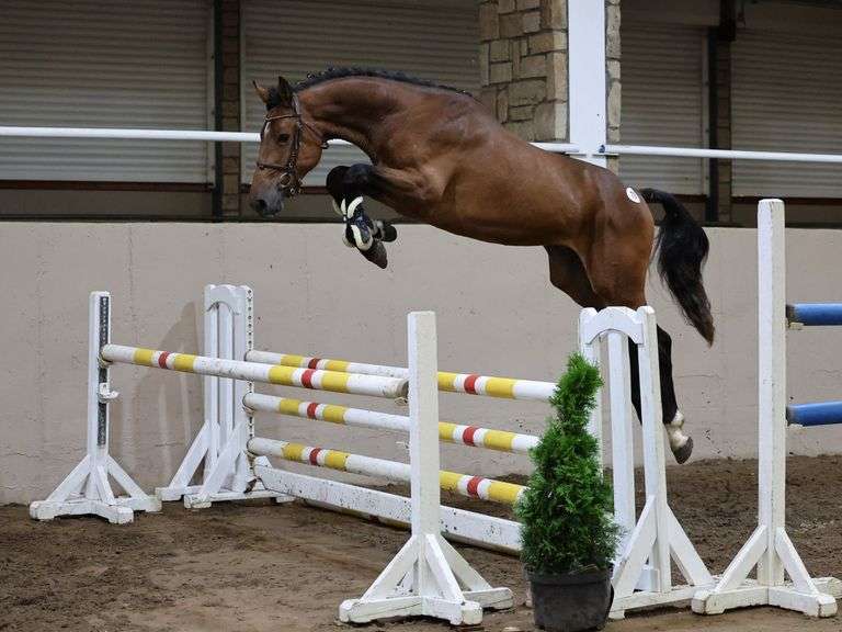 Cavan Equestrian Centre Ltd