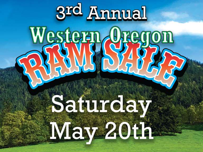 Western Oregon Ram Sale Eugene Equipment Auction