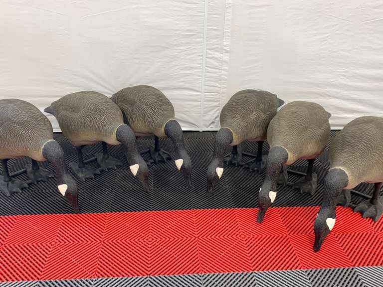 (6) Big Foot Goose Decoys Feeders Down Estate Details