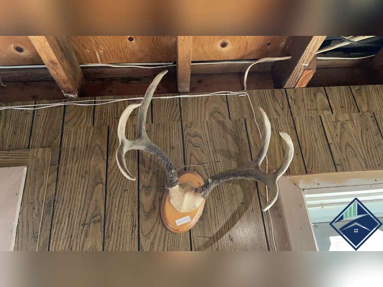 Mounted Antlers Estate Details
