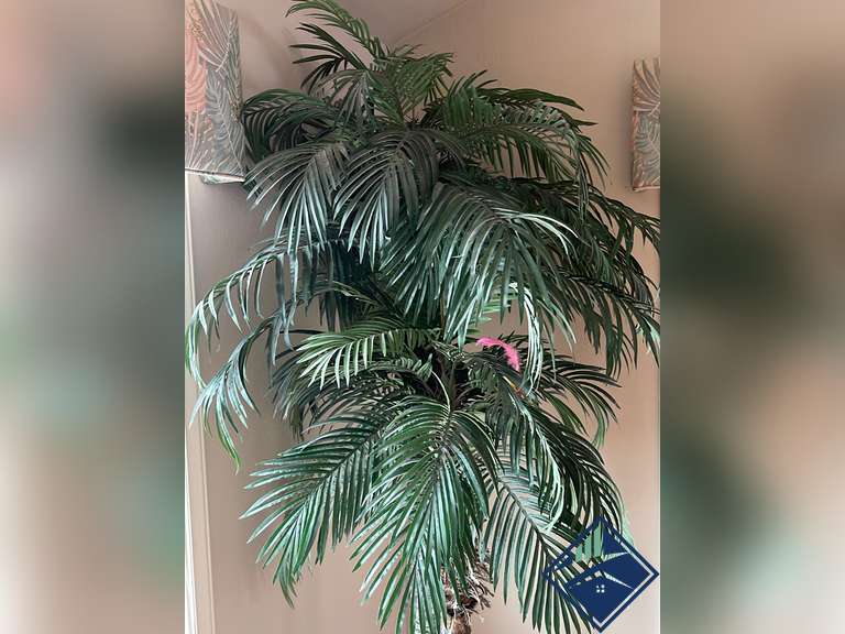 Palm Tree Decor Plant Estate Details