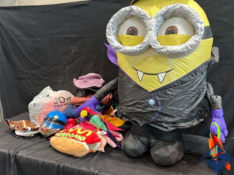 Halloween Costumes & Blow Up Minion Estate Details