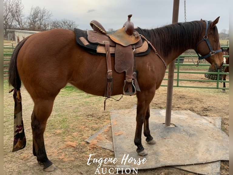 April 9th Horse Auction Eugene Horse Auction