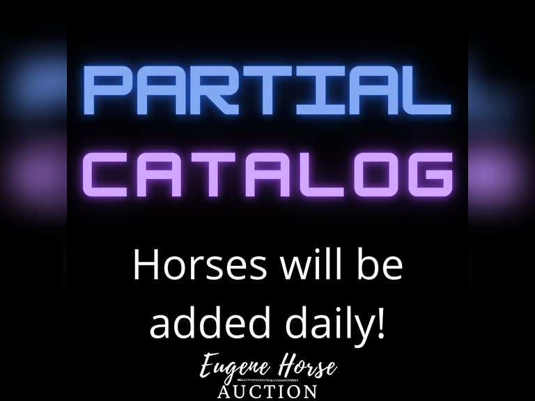 Partial Catalog Horses added daily! Eugene Horse Auction