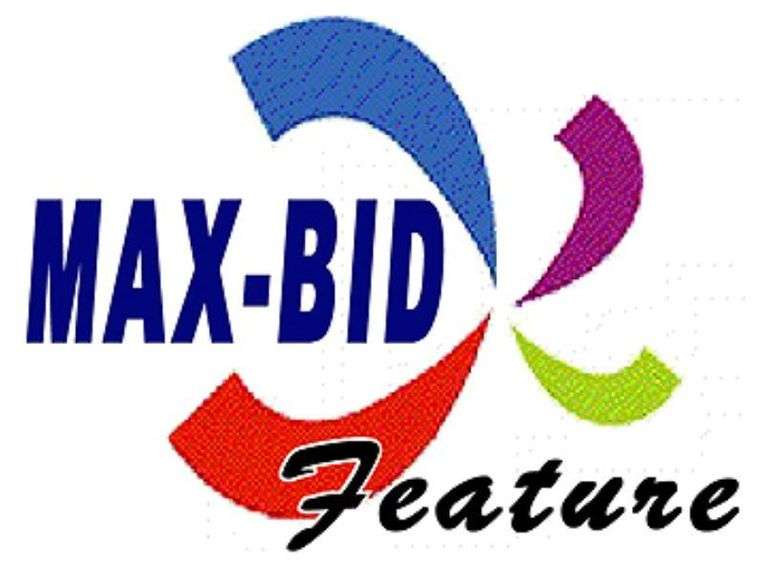 What Is Max Bid? Auction Services LTD