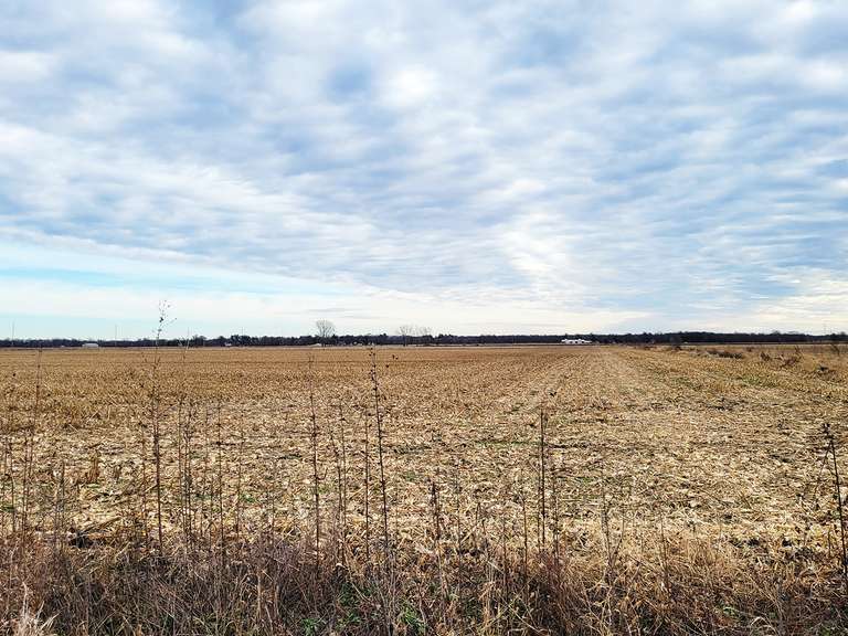 Devries Farm Halderman Real Estate Services