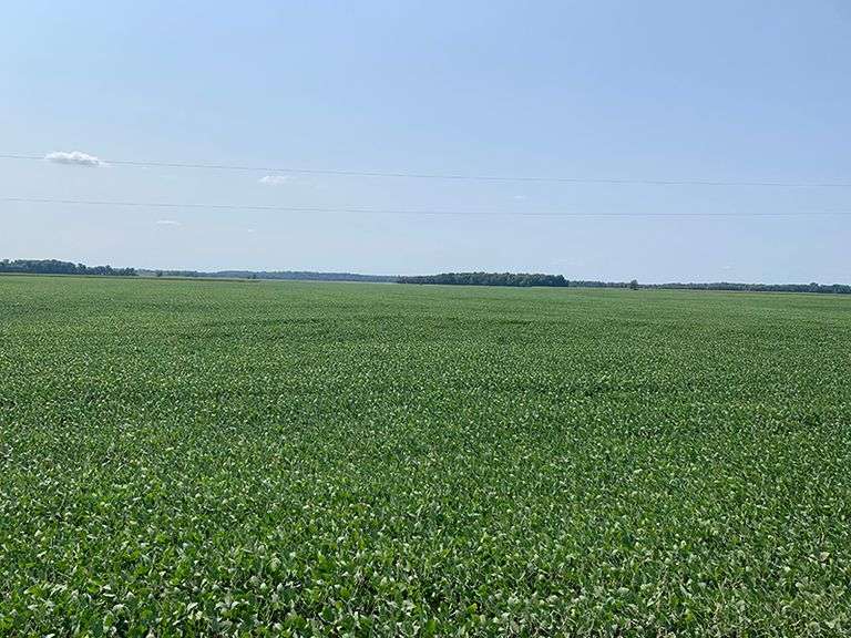 HD Pension Farmland LLC Halderman Real Estate Services