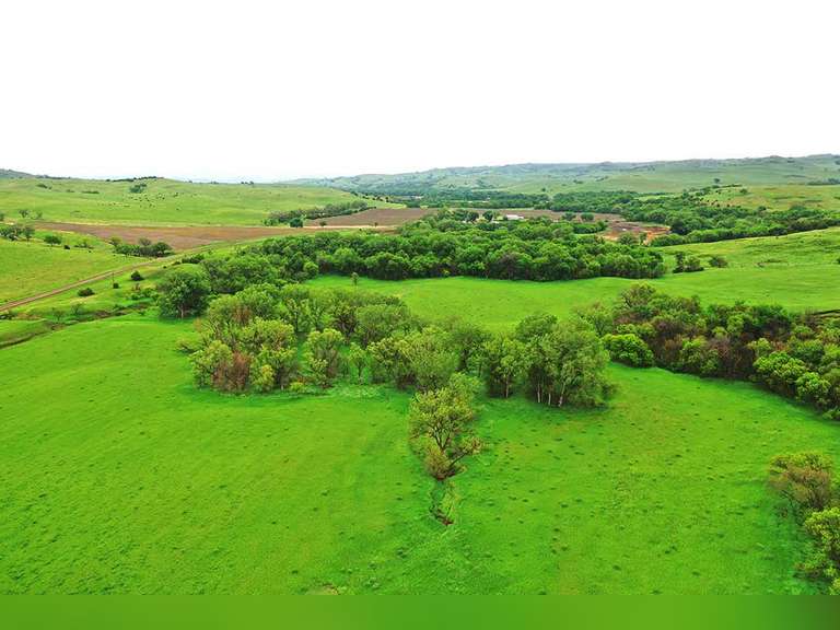 Almon Adam Estate Auction Hewitt Land Company