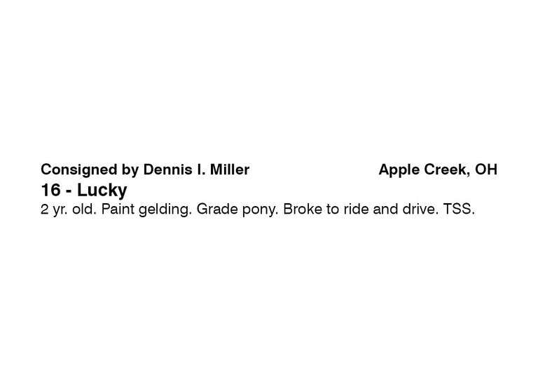 Lucky Mt Hope Auction