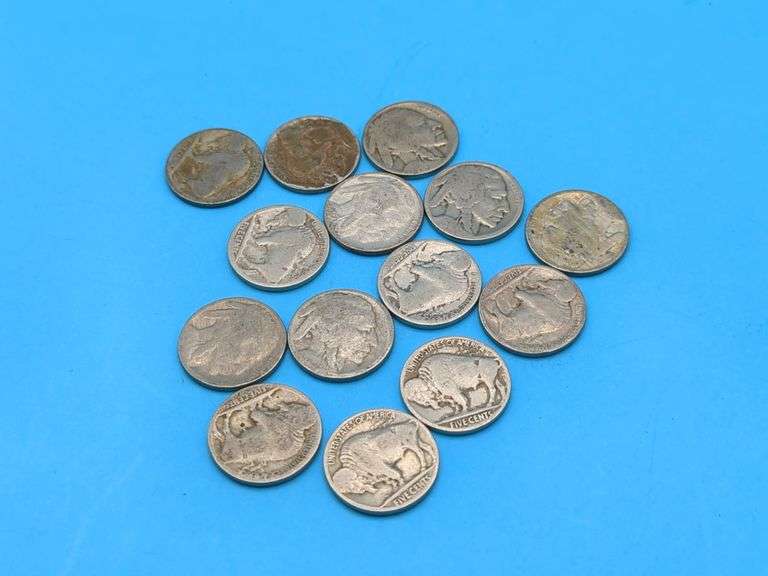 (14) ASST'D NODATE BUFFALO NICKELS Isabell Auction