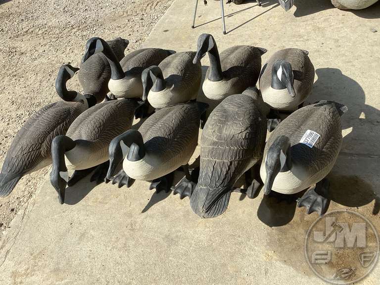 (10) BIG FOOT GOOSE DECOYS Jeff Martin Auctioneers, Inc.