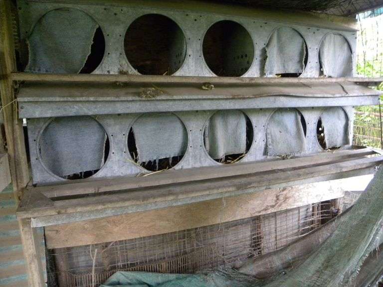 Metal Chicken Nesting Boxes Johnson Realty