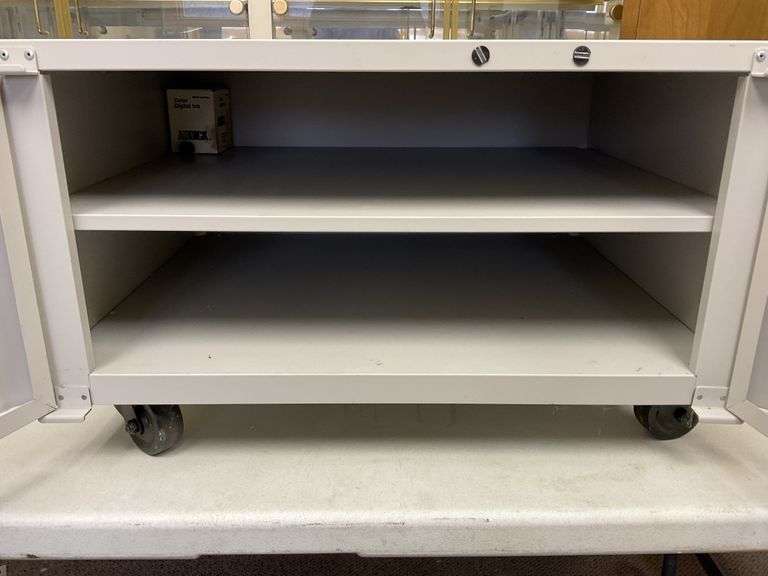 Metal cabinet on wheels - Legacy Auction Company