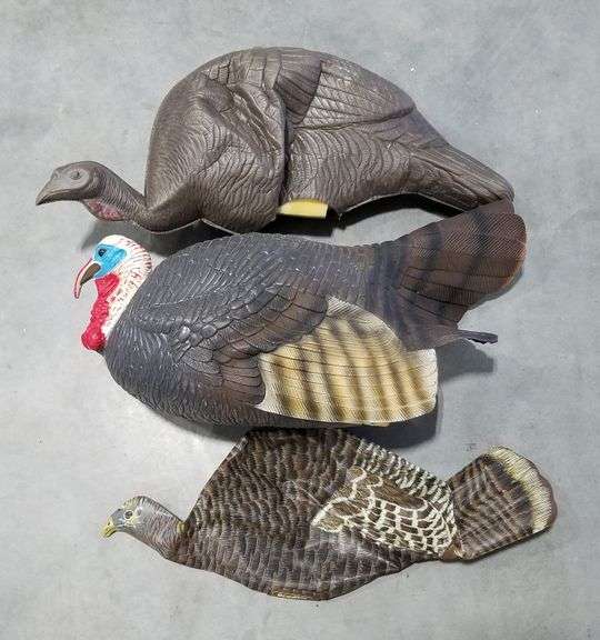 (5) Foam Turkey Decoys & (1) Inflatable Turkey Decoy Adam Marshall