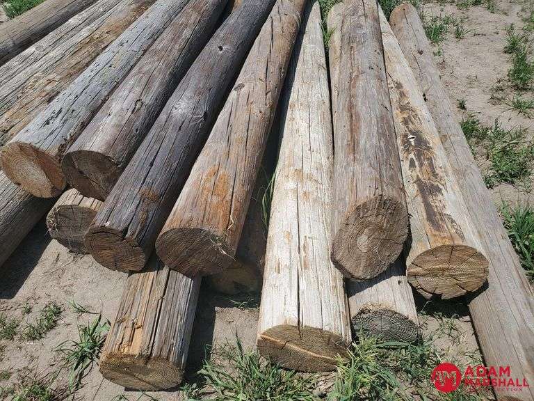 (17) 10FT Used Fence Posts 8"9" Diameter Adam Marshall Land
