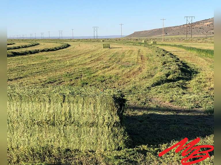 Eastern Oregon Hay Ranch For Sale Musser Bros Inc