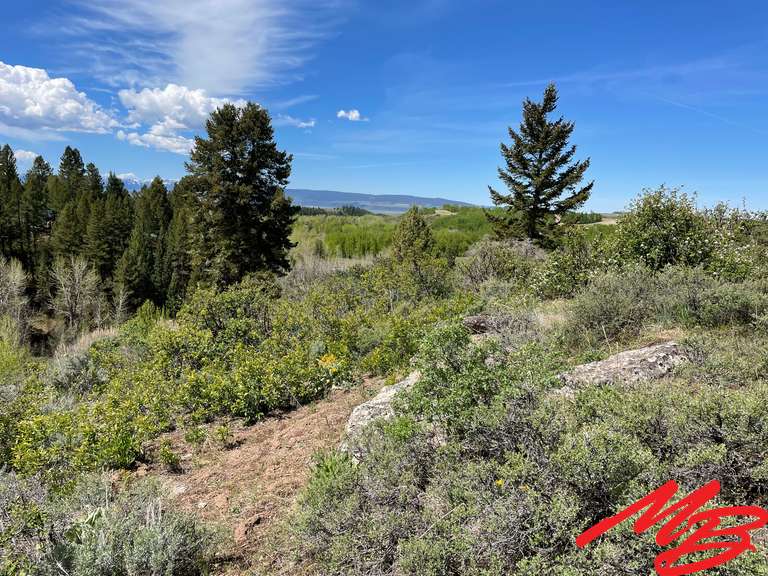 Prime Building Lot North of Driggs, Idaho Musser Bros Inc