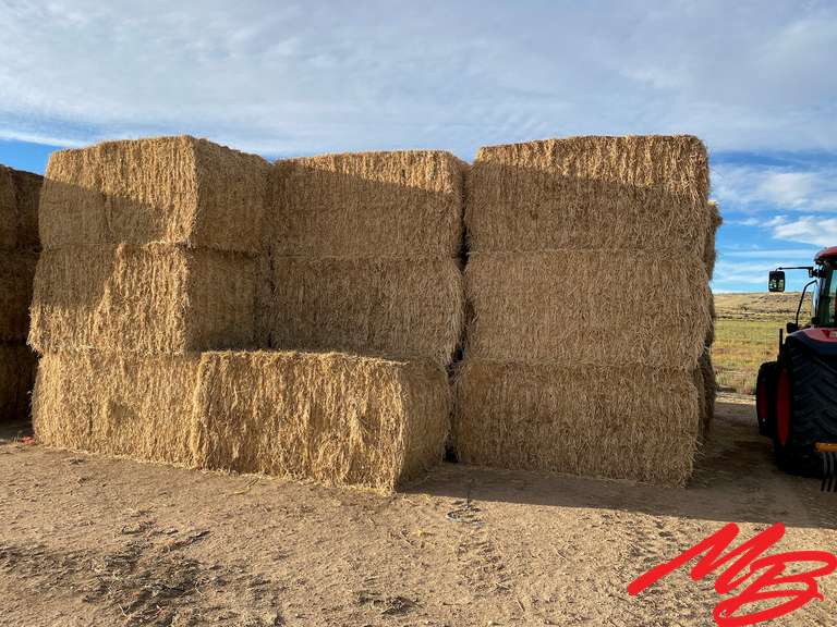 (10) Bales of 4'x4'x8' Hay Bales, Average Bale Weight 1,434 Pounds