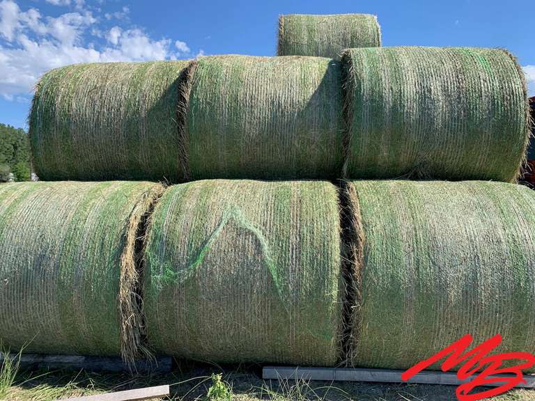 2022 Grass Horse Hay For Sale • Buy It Now Musser Bros Inc