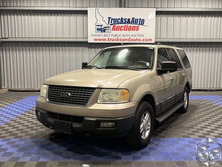 2004 Ford Expedition XLT Trucks & Auto Auctions