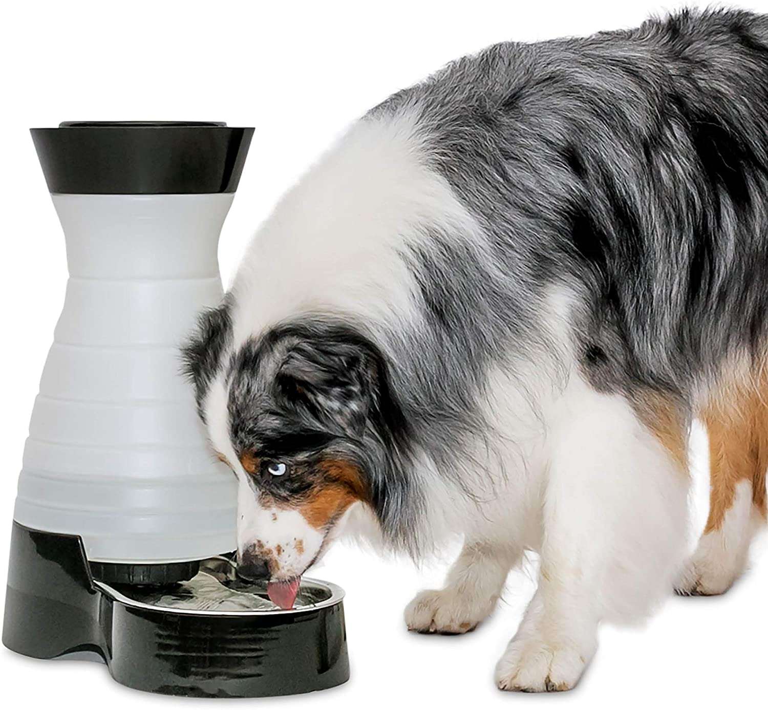 PetSafe Healthy Pet Water Station, Gravity Dog and Cat Water System