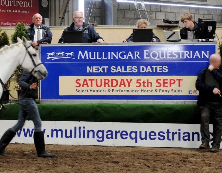 Performance Horse & Pony Sale SATURDAY 5 SEPTEMBER 10.30 am Mullingar
