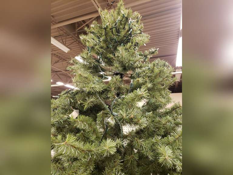 10ft Tall Christmas tree with wrapped lights Northern Kentucky