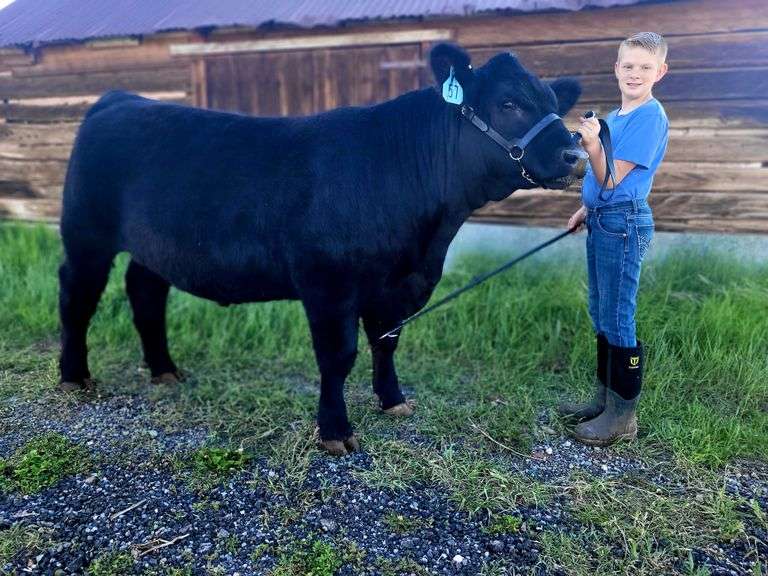 Colby Ahring Beef Premier Livestock Auctions