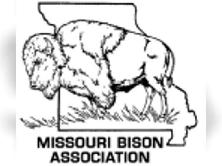 Route 66 Bison Roundup Simulcast Auction Quality Auction Services