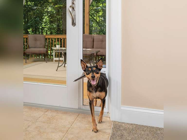 PetSafe 1Piece Sliding Glass Door for Dogs and Cats Fits 81 in to 96 in Patio Panel Sliding