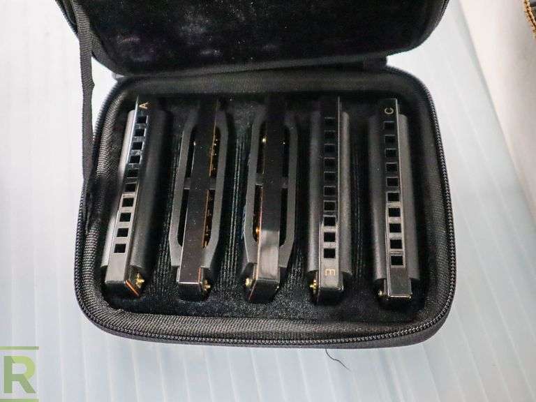 Hohner Roadhouse Blues Harmonica Set Roller Auctions