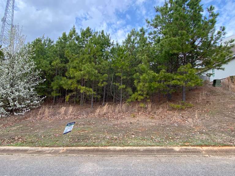 Seven Hills Auctions, LLC