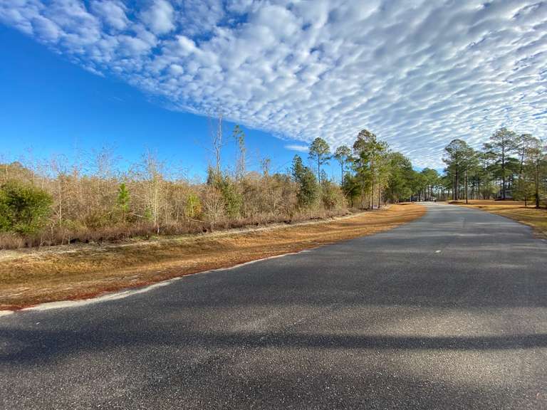 Seven Hills Auctions, LLC