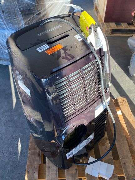 Delongi Pinguino A/C - Sierra Auction Management Inc