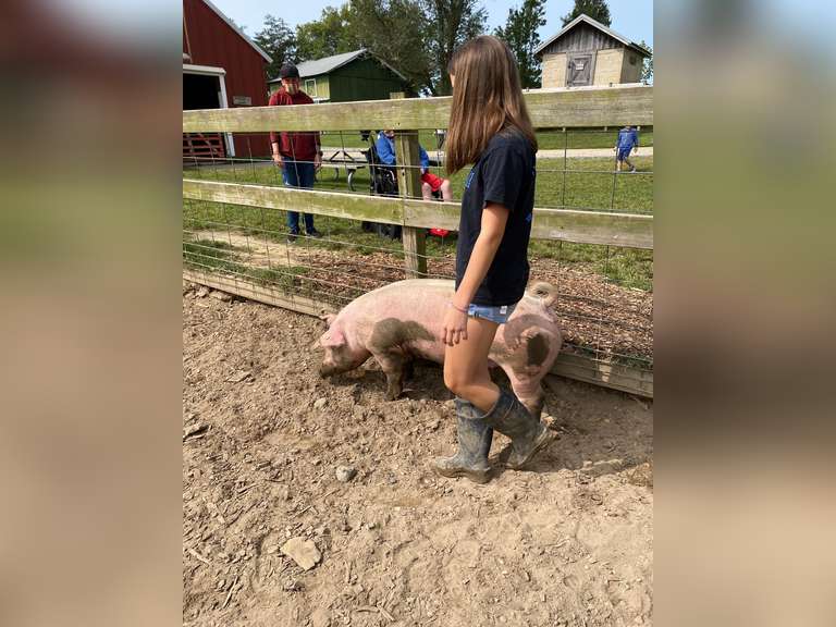 Sadie Fishburne Kinder Farm Park 4H Livestock Club