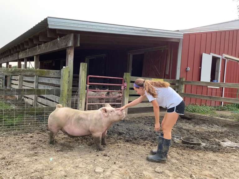 Felicia Fishburne Kinder Farm Park 4H Livestock Club