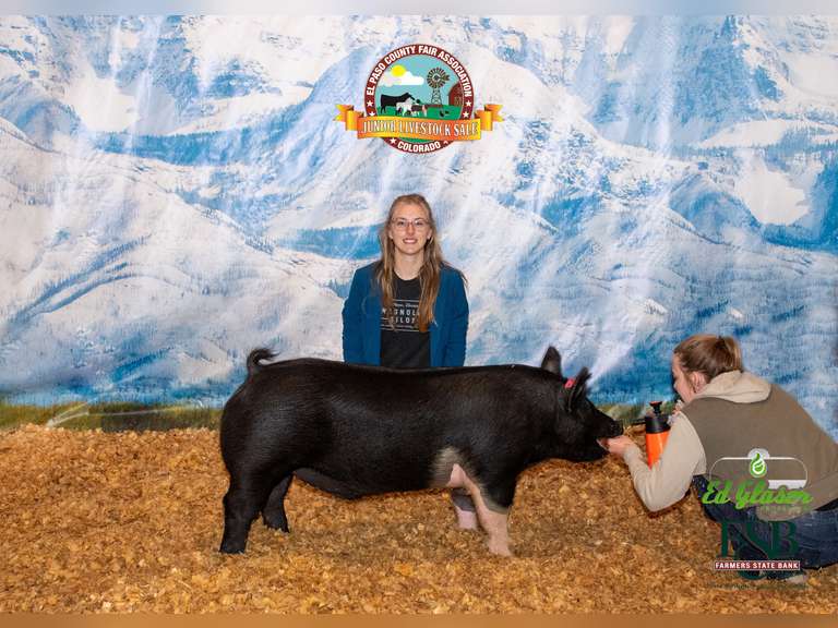 Carmen Stafford Calhan Ranch Hands